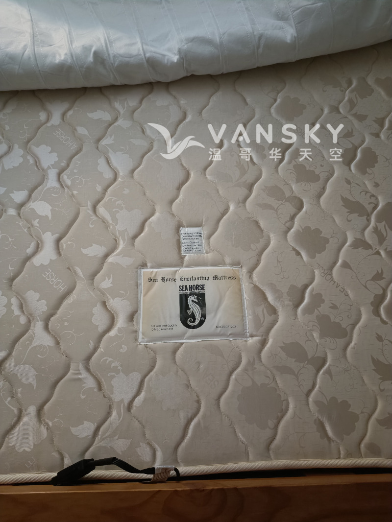 251221191650_sea horse1.jpg